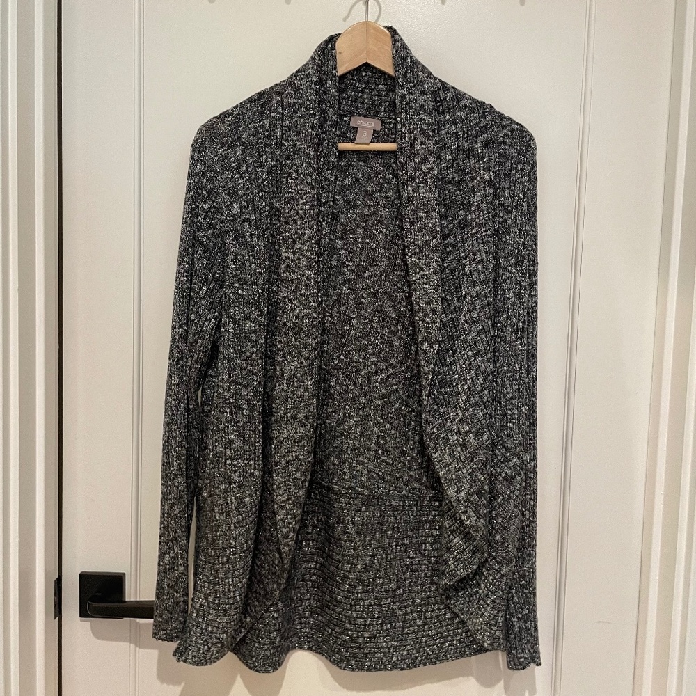 Sparkly Chicos Sweater